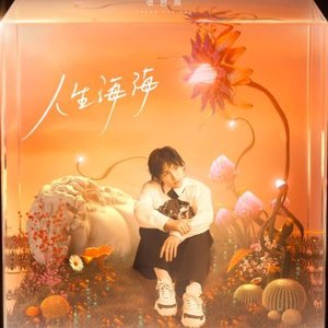 Immagine per '人生海海Magnificent Life'