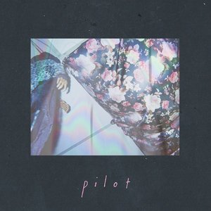 'pilot'の画像