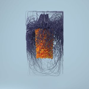 Image pour 'Polymer'