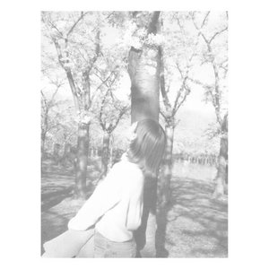 Image for '_'