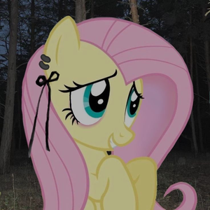 lilyypadd
