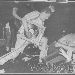 Image for 'The Vandals'