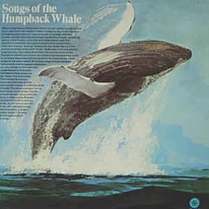 Imagem de 'Songs of the Humpback Whale'