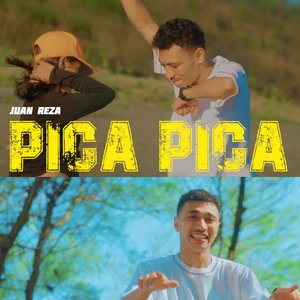 Immagine per 'PICA PICA'