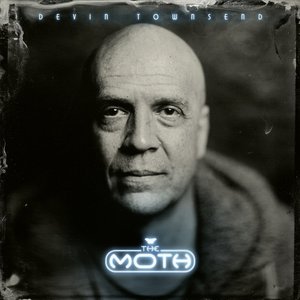 Image for 'The Moth (Deluxe Edition)'