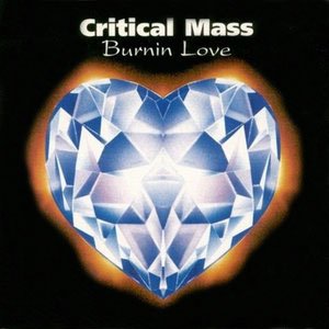 Image for 'Burnin Love'