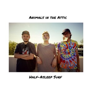 Image for 'Half-Asleep Surf'