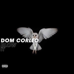 Image for 'Blow It'