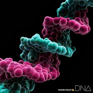 Bild för 'DNA'