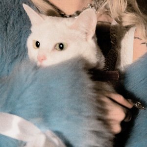 Image for 'НЕ ЛЮБЛЮ'