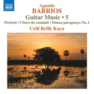 Bild für 'Barrios Mangoré: Guitar Music, Vol. 5'