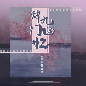 Image for '辞九门回忆'