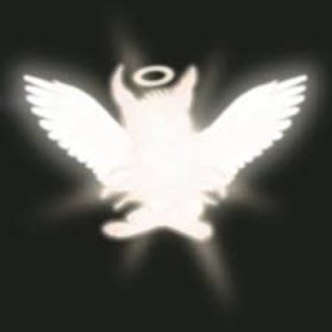 Image for 'Angels All Around'