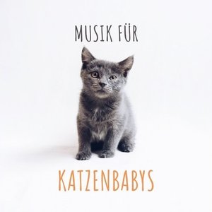 'Musik für Katzenbabys: Die richtige Musik für Katzen, Katzenmusik'の画像