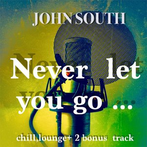 Image for 'Never Let You Go'
