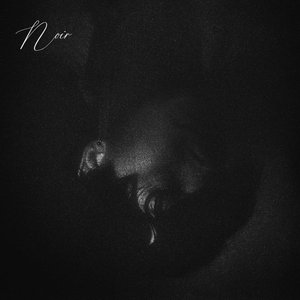 Immagine per 'Noir'
