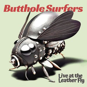'Live at the Leather Fly'の画像
