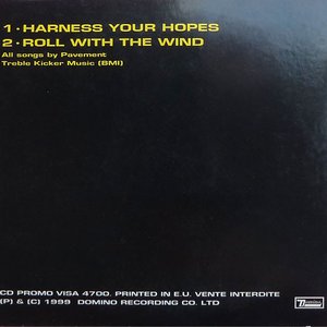 “Harness Your Hopes”的封面