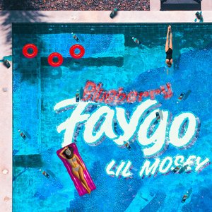 Image for 'Blueberry Faygo'