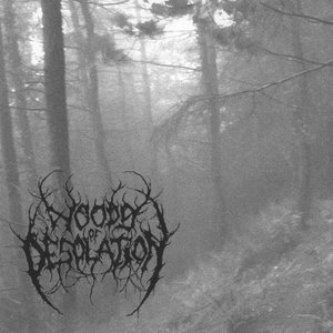 Image for 'Woods of Desolation'