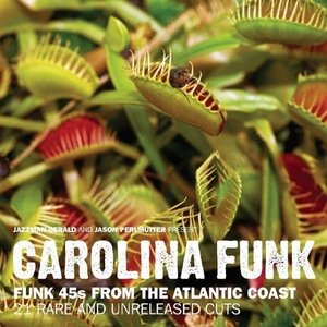 Image for 'Carolina Funk'