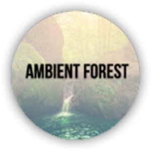 Image for 'Ambient Forest'