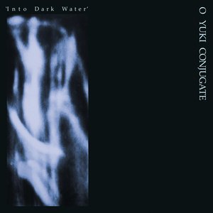 “Into Dark Water”的封面