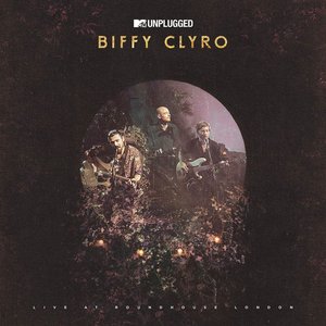 Изображение для 'MTV Unplugged'