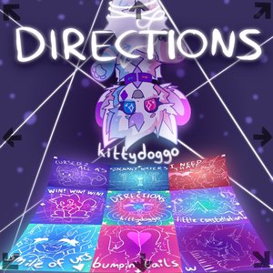 Image for 'DIRECTIONS'