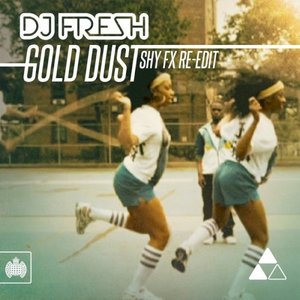 Immagine per 'Gold Dust (Shy FX Re-Edit)'