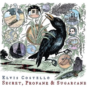 “Secret, Profane & Sugarcane”的封面