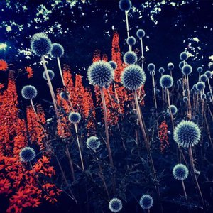 Imagen de 'Tähtiin'