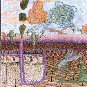 Image for 'Geoparasitism'