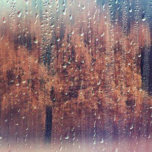 Image for 'Sonidos suaves de lluvia'