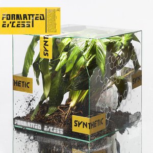 Изображение для 'Formatted Excess'