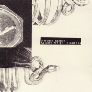 Image for 'Cavalry Whips Of Bamboo'