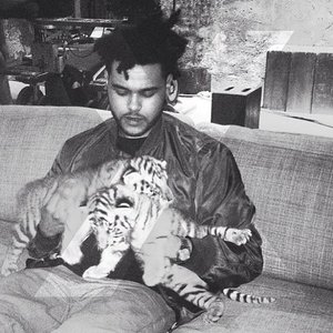 Image for 'The Weeknd'