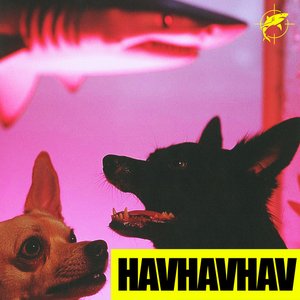 Image for 'HAVHAVHAV'