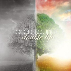 “Double Life”的封面