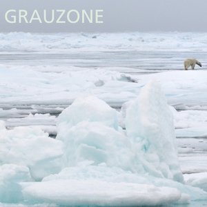 Image pour 'Grauzone 1980-1982 Remastered'