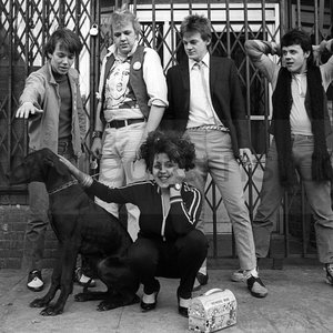 Image for 'X-Ray Spex'