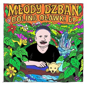 “DOLINA OŁAWKI”的封面