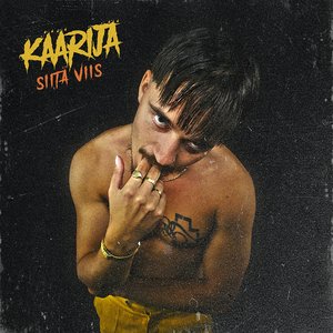 Image for 'Siitä viis'