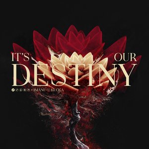 Image for 'It's Our Destiny'