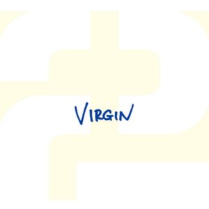 Image for 'VIRGIN'