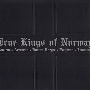 “True Kings of Norway”的封面