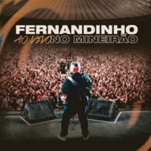 “Fernandinho (Ao Vivo no Mineirão)”的封面