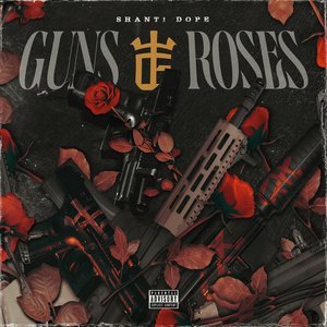 “Guns and Roses”的封面