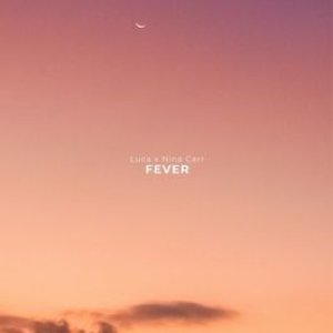 'Fever'の画像