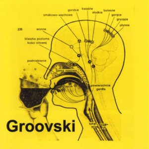 Image for 'Groovski'